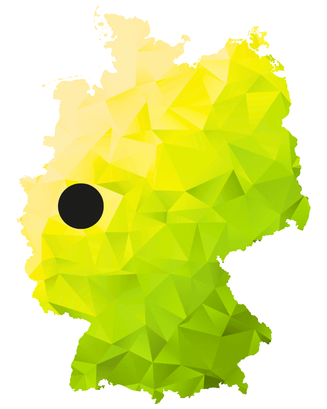 Q-Pace - deutschlandweit aus einer Hand